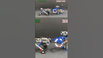 Đánh nhau tới sáng chưa xong | Cuộc đấu giữa Robot kiến và dog!