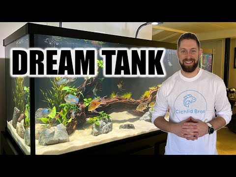 150 Gallon Custom Aquarium | South American Cichlid Tank