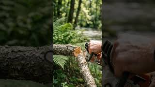 Mini Chainsaw Power 🌲🔥 Clean Cut in Seconds!