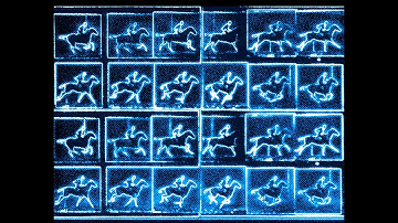 ANiML Unioness [Official Video]