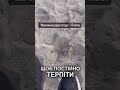 Мудрість Платона #рекомендації #філософія #платон