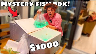 Ordering $1000 MYSTERY FISH Box From DARK WEB!