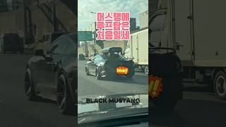 머스탱에 루프탑? 신기허네 ㅎㅎ