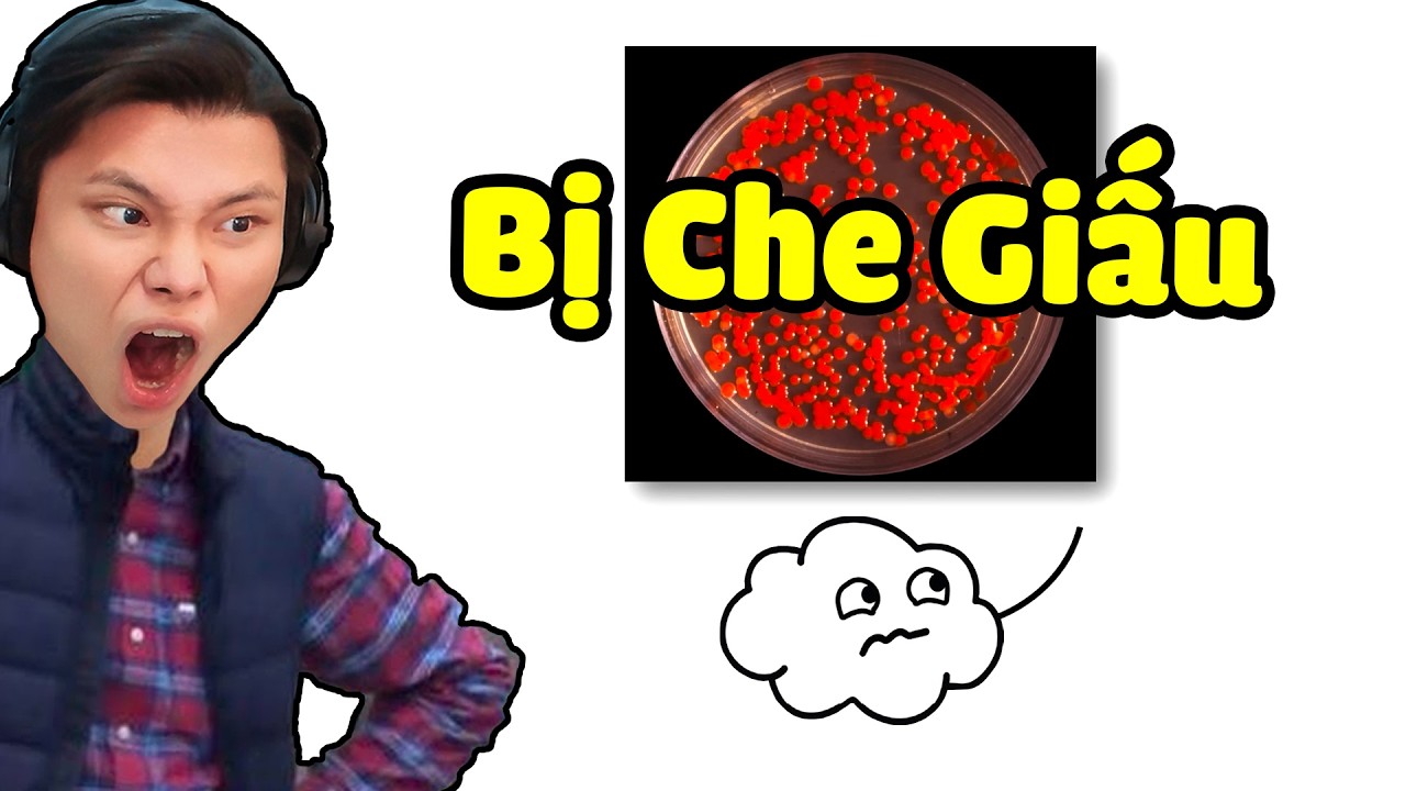 JAYGRAY MẤT NGỦ KHI XEM 7 THÍ NGHIỆM BỊ CHE GIẤU😨🔎🧫REACTION MÂY 7 THÍ NGHIỆM CÓ THẬT TRONG LỊCH SỬ