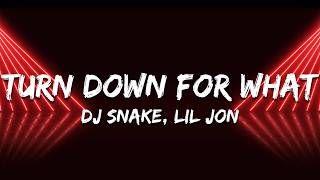 DJ Snake, Lil Jon - Turn Down for What (Lyrics)