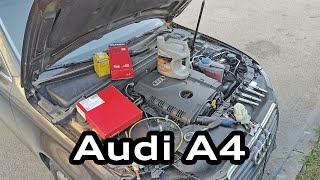 Maintenance of Audi A4 B8, oil change, filter replacement, spark plug check