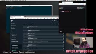 Coding a twitch bot