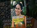 Orang Kaya Pagi2 Pusing Kebanyakan Whiskey Cuplikan Air Mata Kekasih 1972 #nostalgiajamandulu