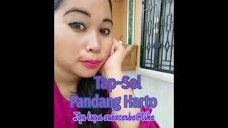 Download Lagu TAP~SEL PANDANG HARTO MP3