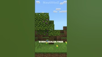 ALWAYS Find A LUSH CAVE In MINECRAFT With THIS Method!