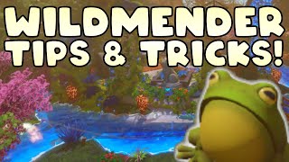 Essential Tips You Should Know Before Playing Wildmender!