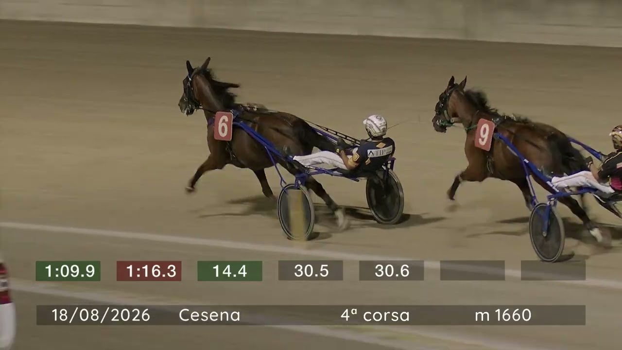 2026 08 18 | Corsa 4 | Metri 1660 | Premio Mordenti Termoidraulica - Tga 2026