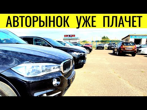 Актуальные Цены на Автомобили в Беларуси из Европы / Обзор цен на автомобили