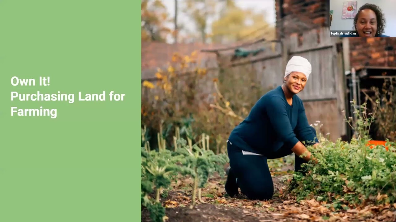 Accessing and Purchasing Land in Detroit