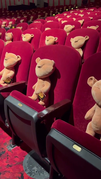 This is how we welcomed our Pride to our 25th Anniversary performance of The Lion King.
