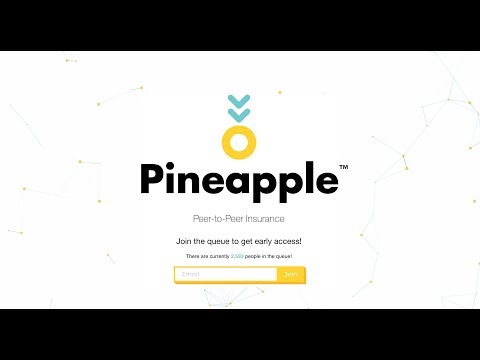 What is Pineapple (The Insurance Startup, not the fruit)