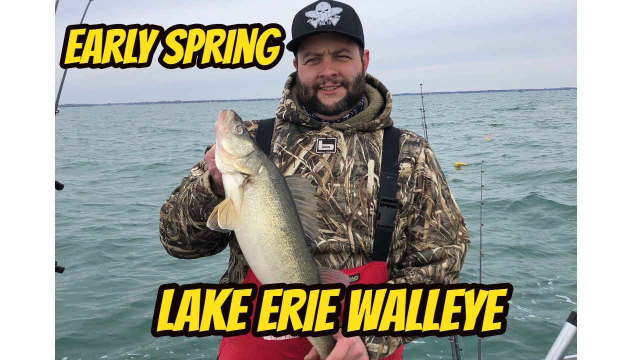 Early Spring Lake Erie Walleye 