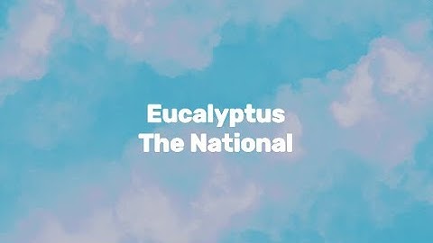 The National - Eucalyptus (Lyric Video)