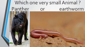 Gohar Science Book 2, Chapter 2, Lecture 5