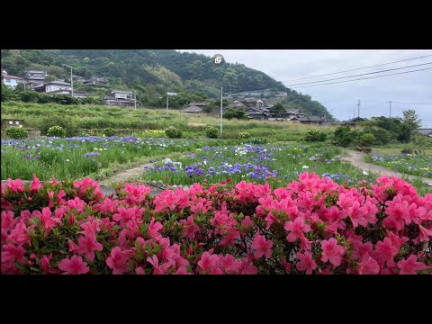 ليس البر أن تولوا وجوهكم المنشاوي