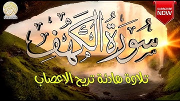 صدقاً - صوته يهدئ الاعصاب مزمار من مزامير آل داوود القارئ محمد هشام || سورة الكهف surah alkahf