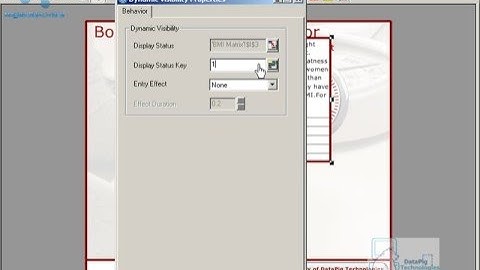 Build a Custom Dialog Box in Xcelsius - www.MyXcelsius.com