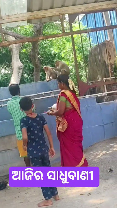 Download lagu #wedding #jitudasanuchinta #hinduastrology #motivation #odianitibani #indianastrolog#vedicastrology