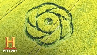 Ancient Aliens: Crop Circle Challenge Accepted | History