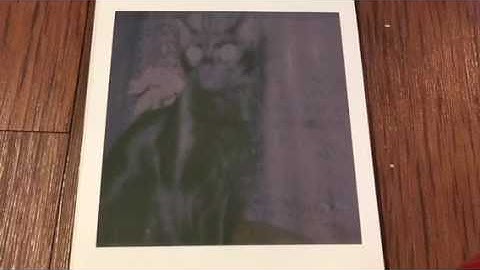 Timelapse of Polaroid 600 color film Developing