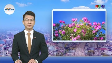 Nhịp sống muôn màu: Đà Lạt – Xứ sở ngàn hoa | LONG AN TV