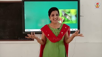 UKGStory   Worksheets   Chapter 04   Video 01   The Littile Humming Bird WS   05