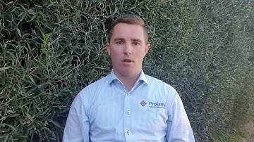 Why should I use a Prolam lintel over against an SG8 lintel?