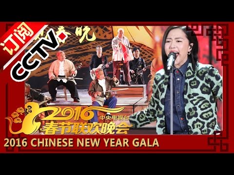 2016 Chinese New Year Spring Festival Gala Tan Weiwei Performance丨CCTV春晚