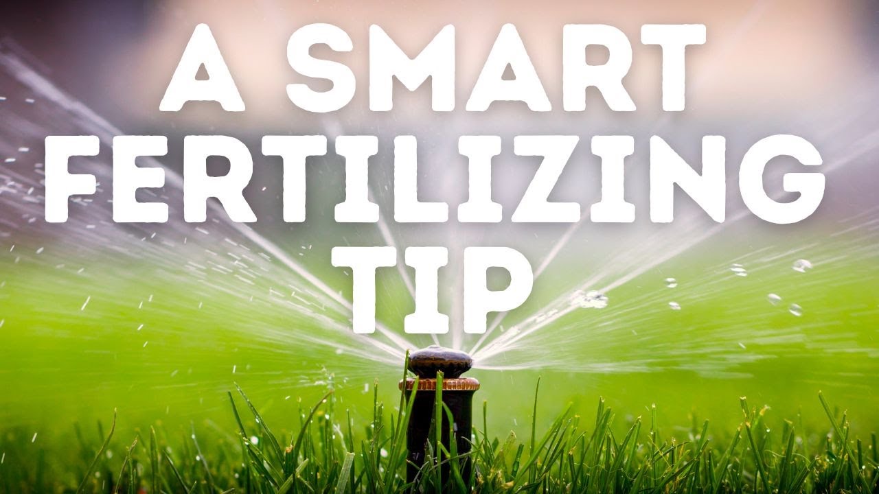 How Much Should You Water After Fertilizing Your Lawn? - YouTube