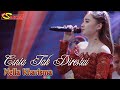 Nella Kharisma - CINTA TAK DIRESTUI _ dipopulerkan oleh Kadal Band