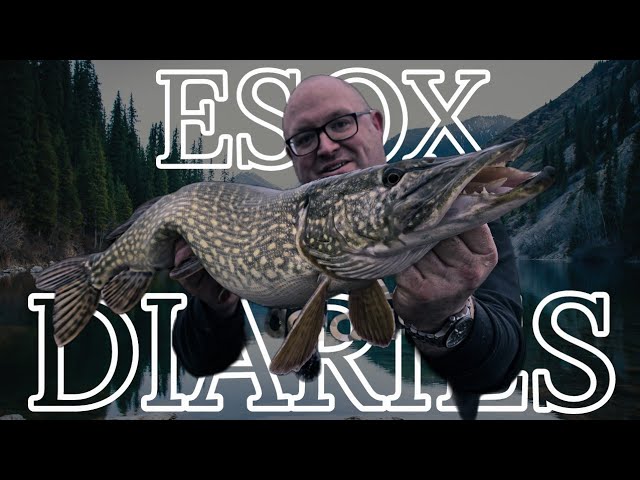Esox Diaries, S2 Ep: III, DEAD-BAITING FOR PIKE, Big Water Pike fishing