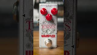 The Wampler Tumnus Germanium vs. the Tumnus Standard! #shorts