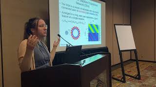 Cosyne 2020 Workshops - Grace Lindsay - Merging neural circuit models with deep learning