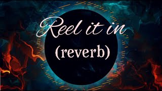 Anime- reel it in ( slowed + reverb )