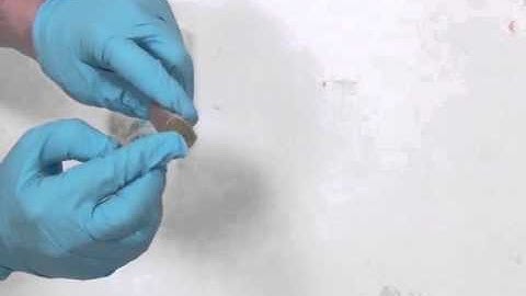 Glue End of Actuator