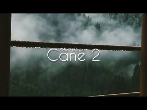 Kurdish Trap | ► Cane 2 ◄ Faruk Aydın Remix \u0026 Çakır Beats (Prod by Remix Bey)