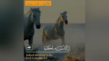 بمقام الصبا زمزم سورة العاديات القرآن الكريم بدون حقوق طبع ونشر