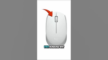 Why Is It Called a “Mouse”? | The Origin of the Computer Mouse #truedialogue #shorts #trending