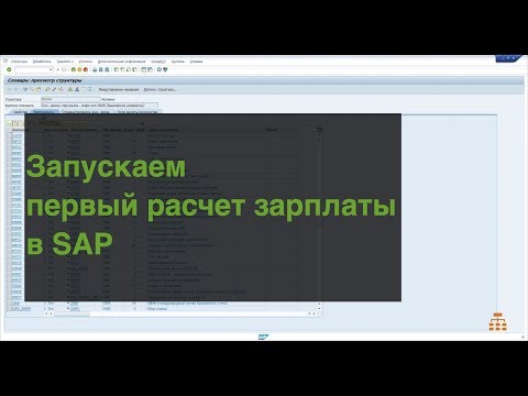 SAP для начинающих. Запускаем расчет заработной платы и исправляем ошибки