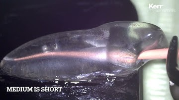 ZenFlex - Master cone adjustment using auto-fit gutta percha