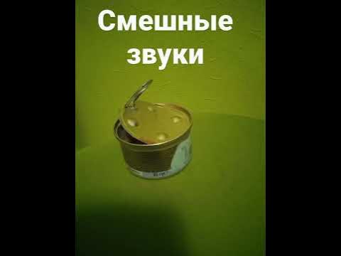 смешные звуки - YouTube
