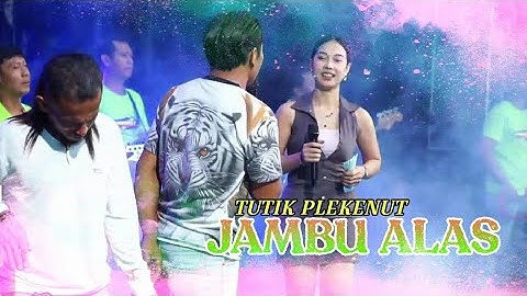 JAMBU ALAS-TUTIK PLEKENUT FEAT SUMINDAR//PAMELLA MUSIC(live streaming di ngesong tlogonongko-njadi)