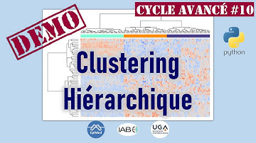 Démo - Clustering hiérarchique avec Python et seaborn | Cycle avancé IA #10