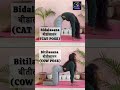 Yoga For Stress & Anxiety Relief 🧘♀️ | तनाव से छुटकारा । Instant Stress Calm | Hindi Yoga Short