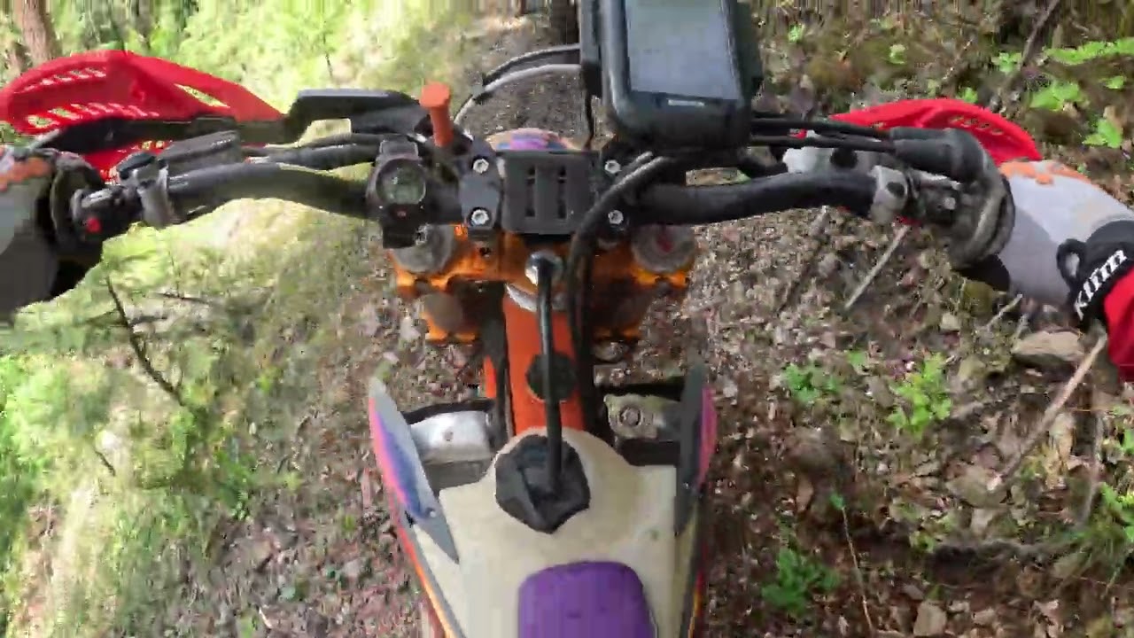 Downieville  Cal Ida